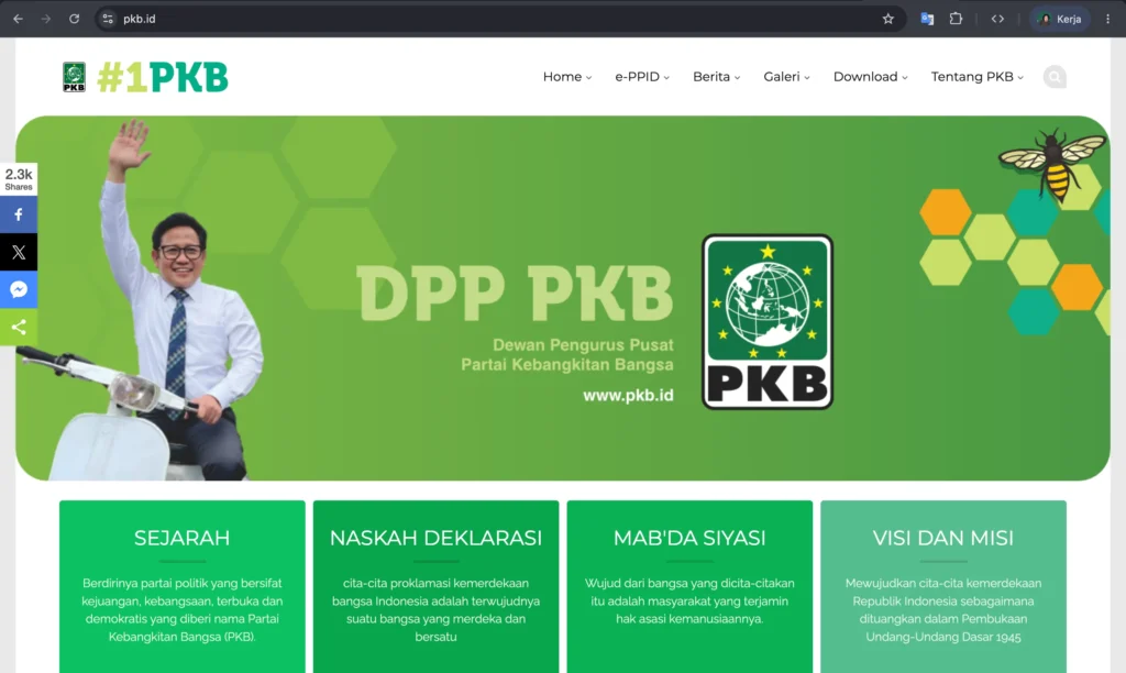 Review Website DPP PKB Sudah Layak Jadi Wajah Digital Partai Besar